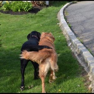 Meet your Posher, Alexa